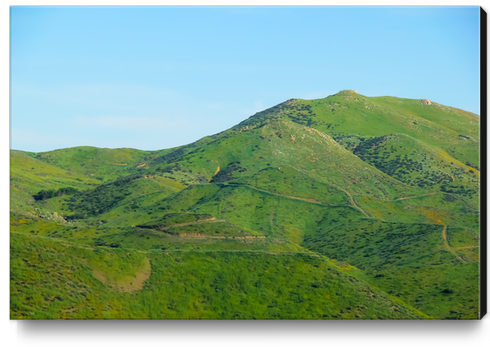 green field and green mountain with blue sky Canvas Print by Timmy333