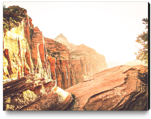 rocky mountain with strong sunlight at Zion national park, USA Canvas Print by Timmy333