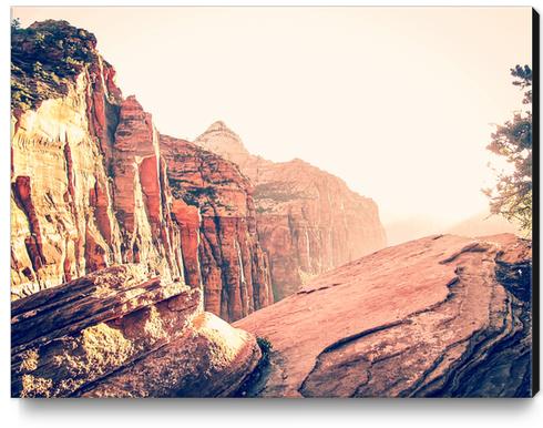 At Zion national park, USA in summer Canvas Print by Timmy333