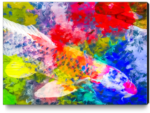 koi fish with painting texture abstract background in red blue yellow green Canvas Print by Timmy333