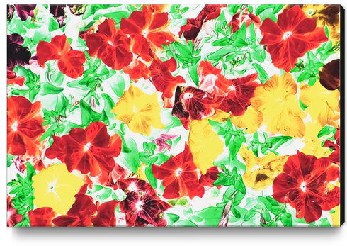 red flower and yellow flower with green leaf abstract background Canvas Print by Timmy333