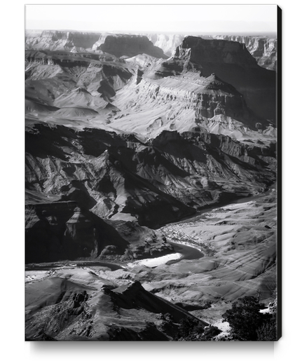 Desert at Grand Canyon national park, USA in black and white Canvas Print by Timmy333