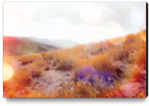 yellow flower field on the mountain with summer light bokeh abstract Canvas Print by Timmy333