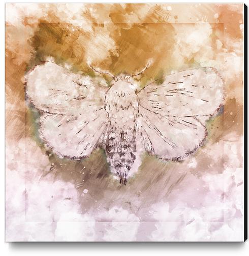  Moth Guided by Lunar Passion  Canvas Print by JebusofDenmark