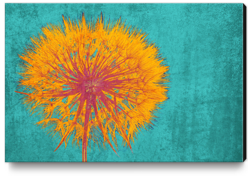 Dandelion Canvas Print by Irena Orlov