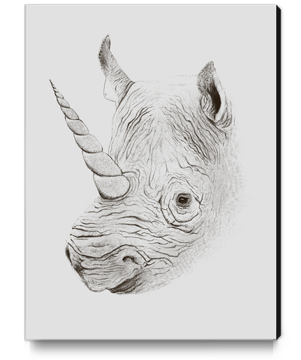 Rhinoplasty Canvas Print by Florent Bodart - Speakerine