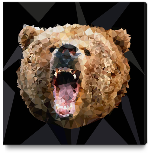 Angry Bear Canvas Print by Vic Storia