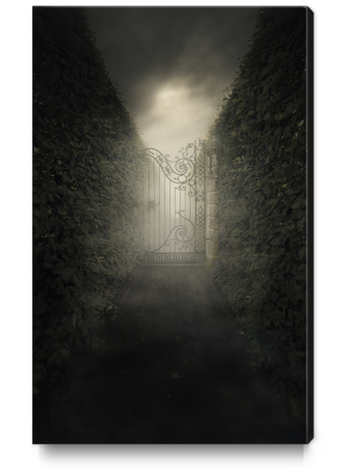 Forgotten alley Canvas Print by Jarek Blaminsky