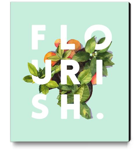 Flourish Canvas Print by Uma Gokhale