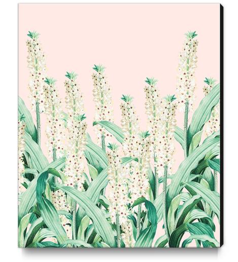 Forgiving Nature Canvas Print by Uma Gokhale