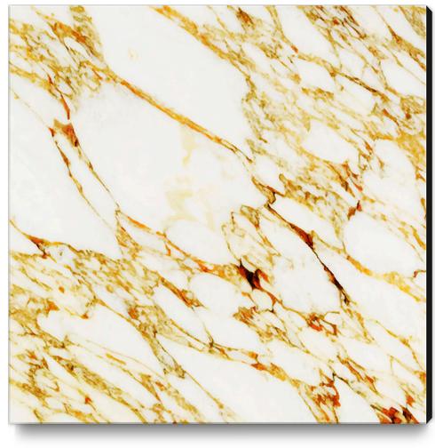 Gold Marble Canvas Print by Uma Gokhale