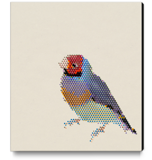 Red Head Bird Canvas Print by Alex Xela