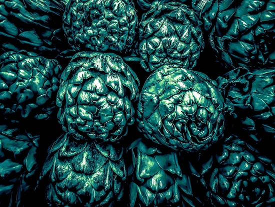 closeup green artichoke texture background by Timmy333