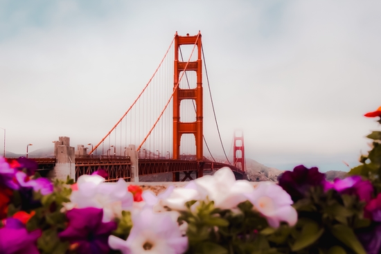 At Golden Gate bridge San Francisco California USA with foggy sky by Timmy333