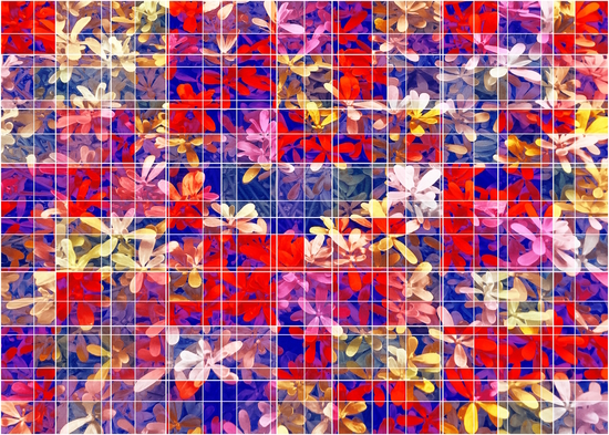 blooming flower with square pattern abstract in red and blue by Timmy333