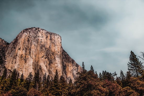 mountain and pine tree at Yosemite national park California USA by Timmy333