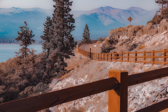 Walkway with pine tree and mountain background at Lake Tahoe Nevada USA by Timmy333