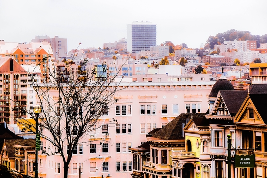 City view at Alamo Square, San Francisco, California, USA by Timmy333