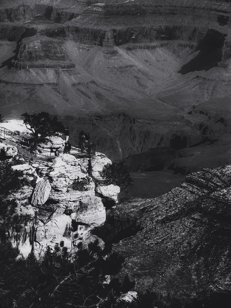 Desert scenic at Grand Canyon national park, Arizona, USA in black and white by Timmy333