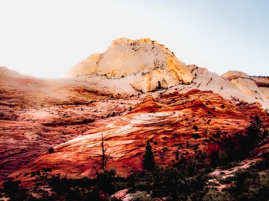 Mountain view in the forest at Zion national park, Utah, USA by Timmy333