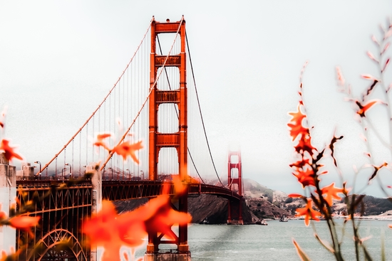 At Golden Gate Bridge, San Francisco, California, USA by Timmy333