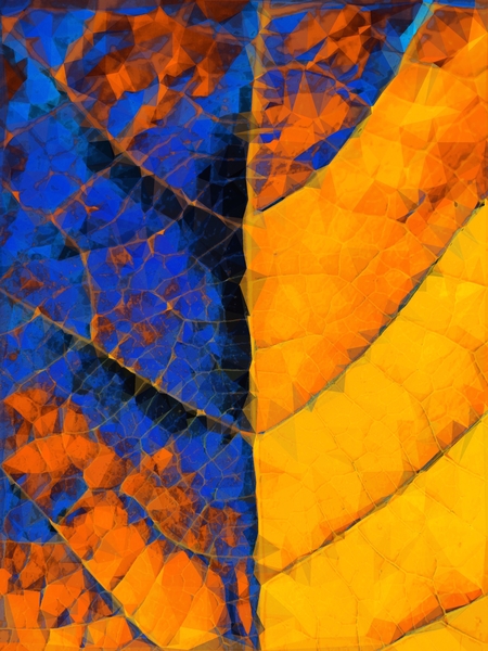 closeup leaf texture geometric triangle abstract pattern in blue orange yellow by Timmy333