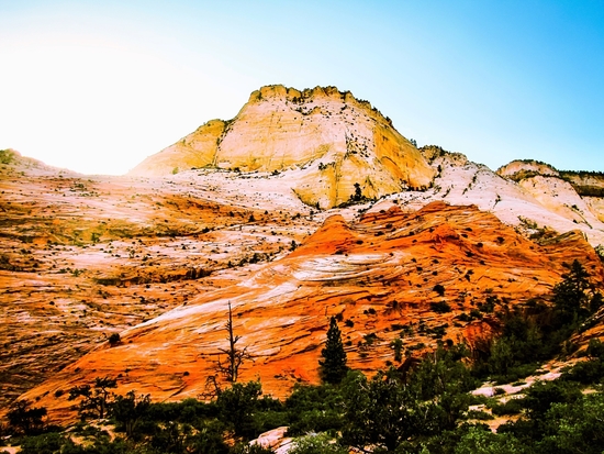 mountain at Zion national park, USA by Timmy333