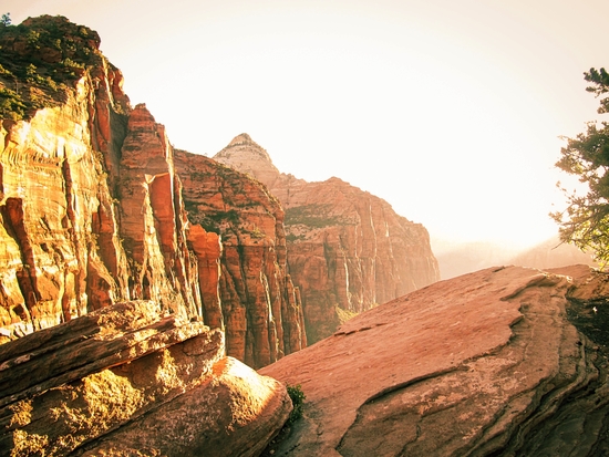 mountain at Zion national park, USA by Timmy333