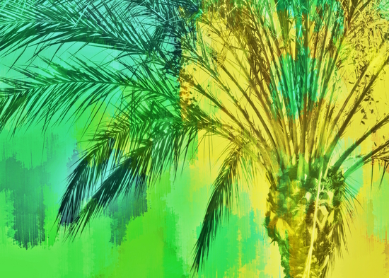 isolate palm tree with painting abstract background in green yellow by Timmy333