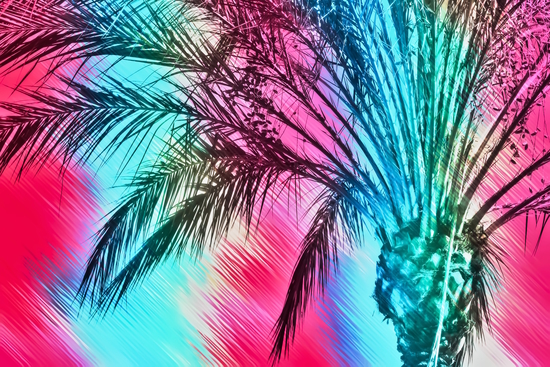 isolate palm tree with painting abstract background in pink and blue by Timmy333