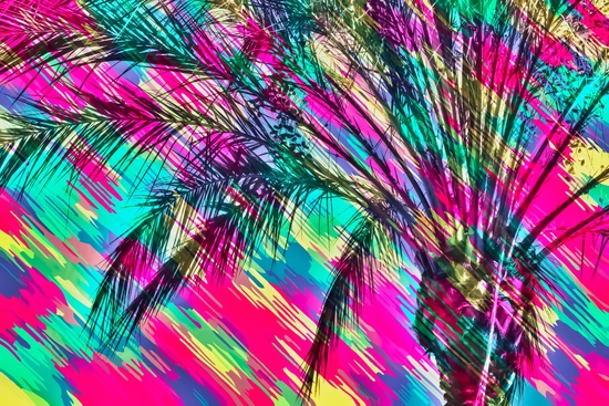 palm tree with colorful abstract background in pink green yellow blue by Timmy333