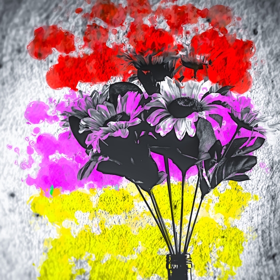 flower with colorful painting abstract background in red pink yellow by Timmy333