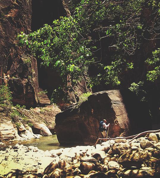 Hiking in the forest at Zion national park, USA by Timmy333