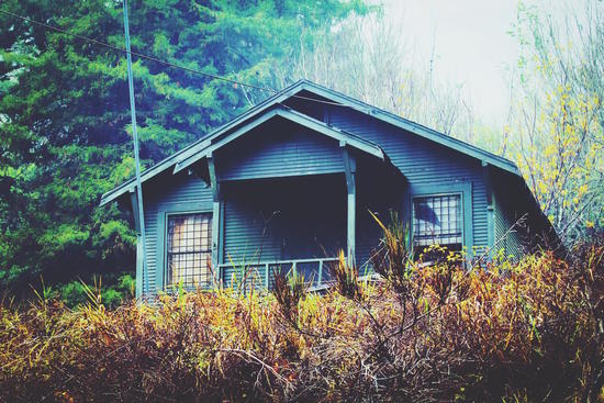 green wooden house in the forest in winter by Timmy333