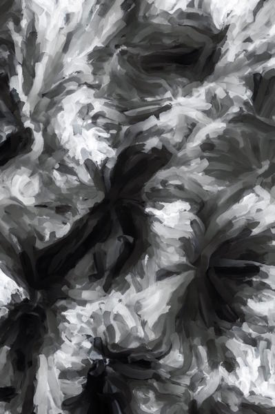 black and white abstract painting texture background by Timmy333