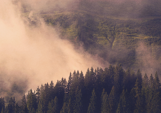 MOUNTAIN SECRET by DANIEL COULMANN