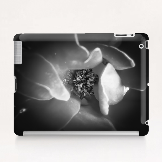 blooming rose with pollen in black and white Tablet Case by Timmy333