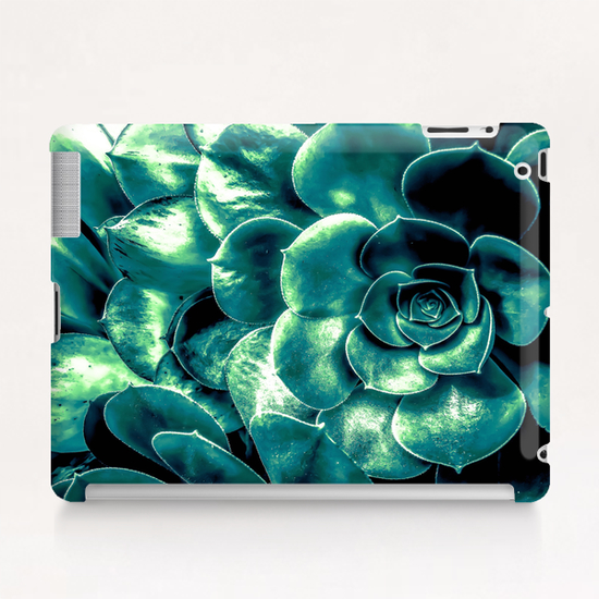 closeup green succulent plant background Tablet Case by Timmy333