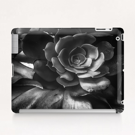 closeup succulent plant in black and white Tablet Case by Timmy333