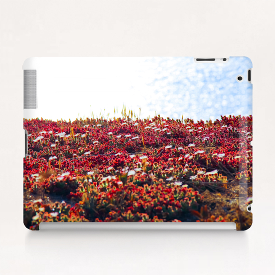 closeup red flower with blue ocean background in summer Tablet Case by Timmy333