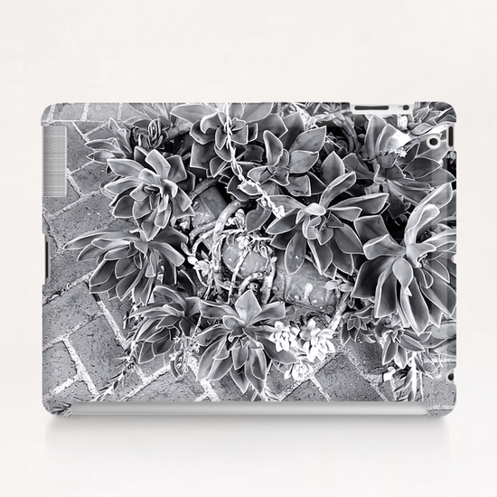 succulent plant with brick floor background in black and white Tablet Case by Timmy333