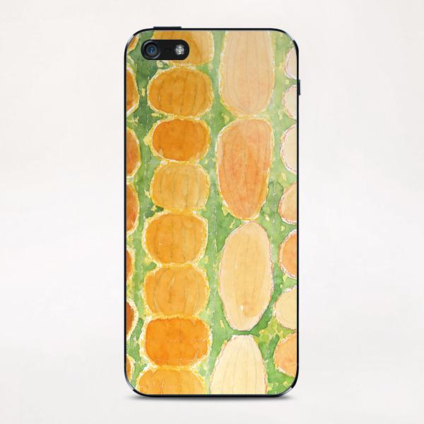 Rows of Round and Reddish Food on Green  iPhone & iPod Skin by Heidi Capitaine