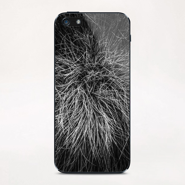 closeup grass texture in black and white iPhone & iPod Skin by Timmy333