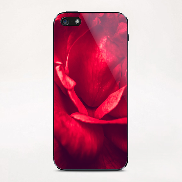 red rose texture iPhone & iPod Skin by Timmy333