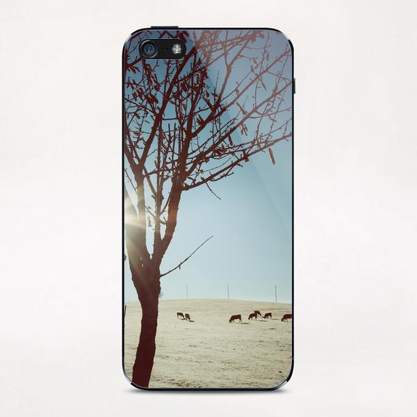 Tree and Cows iPhone & iPod Skin by Salvatore Russolillo