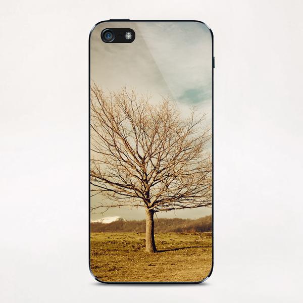 Tree iPhone & iPod Skin by Salvatore Russolillo