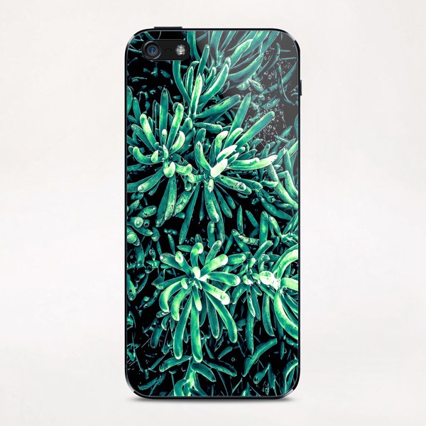 green succulent plant texture background iPhone & iPod Skin by Timmy333