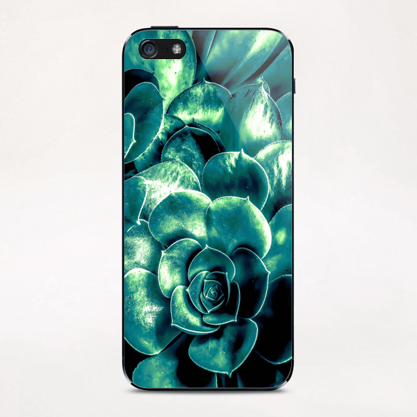 closeup green succulent plant background iPhone & iPod Skin by Timmy333