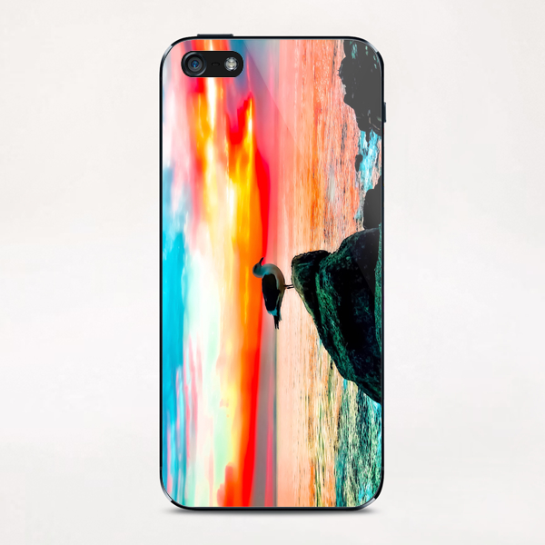 seagull bird on the stone with ocean sunset sky background in summer iPhone & iPod Skin by Timmy333