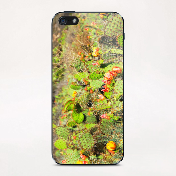 green cactus with red and yellow flower texture background iPhone & iPod Skin by Timmy333